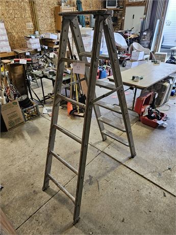 5ft Ladder