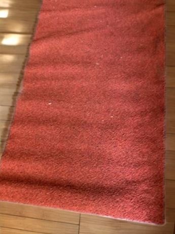 Red Indoor/Outdoor Commercial Rug/Runner 54 Inches X 34 Inches
