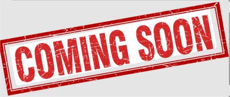 Ethan Allen Buffet Shelves/Cabinet