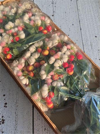 Large Heritage Crab Apple Fruit/Flower Pick Bundles - 10 Boxes Total
