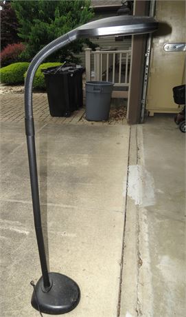 Verilux Floor Lamp