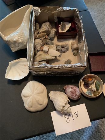 Seashell and Stone Collectible Crafting Lot