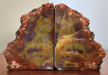 Arizona Petrifried Wood