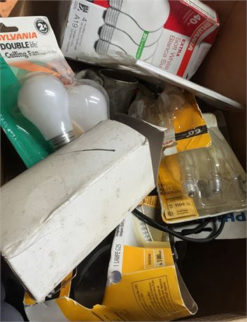 Light Bulb Lot