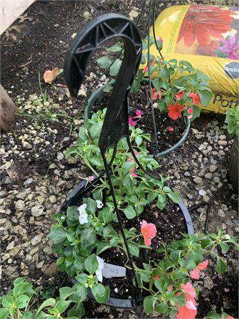 Lot of 2 Round 10" Plastic Hanging Pots Filled With Assorted Potted Annuals