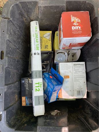 Lightbulb Lot - Misc Types and Sizes