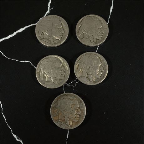 Buffalo Indian Head Nickels Lot of 5