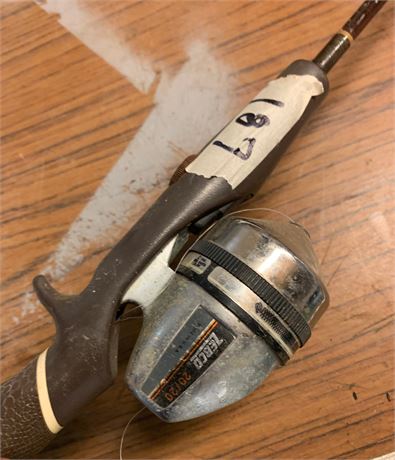 Zebco Fishing Pole/Reel