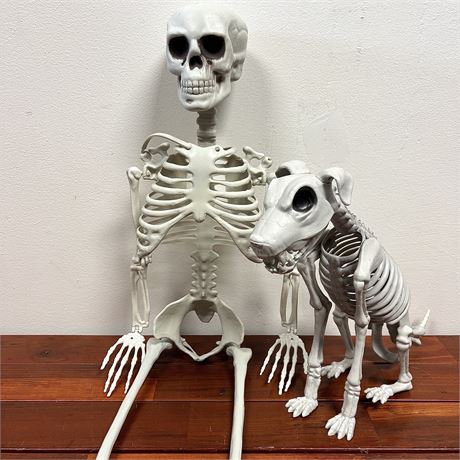 Outdoor Halloween Skeleton Decor - 36" Skeleton