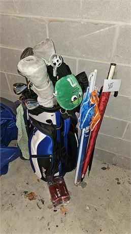 Mixed Golf Club Set: Cobra, Calloway, Golf Balls & More