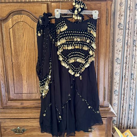 Wonderful Black Chiffon Gold Accents Belly Dancer Gypsy Costume - Women's S/M