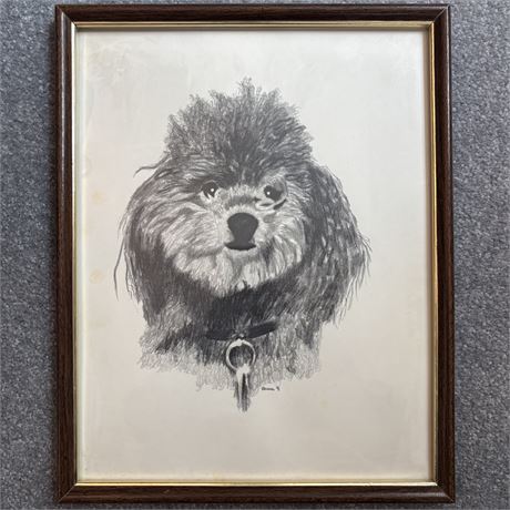 Original Cavapoo Dog Charcoal Portrait - 11.5 x 14.5"