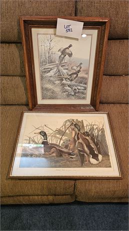 Mallard & Pheasant Art Prints