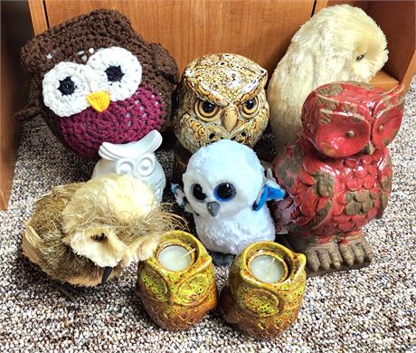 Owl Lot