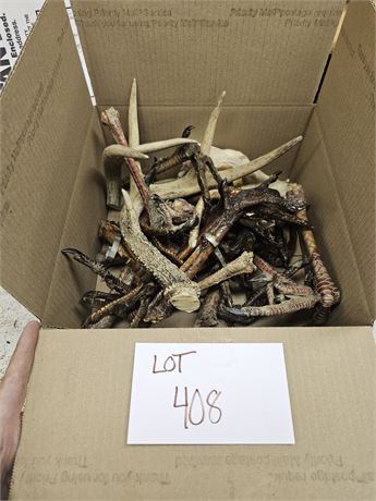 Mixed Wild Turkey Feet Sizes Vary