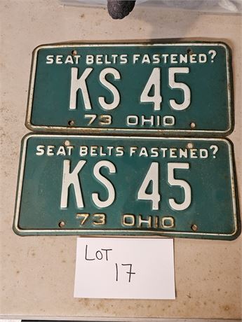 Vintage Ohio 1973 License Plates