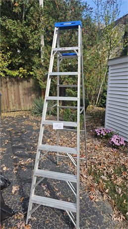 Werner 8ft Ladder