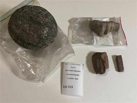 Lot of Fossilized/Petrified Wood & Stones