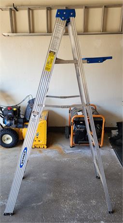 Werner 6' Step Ladder