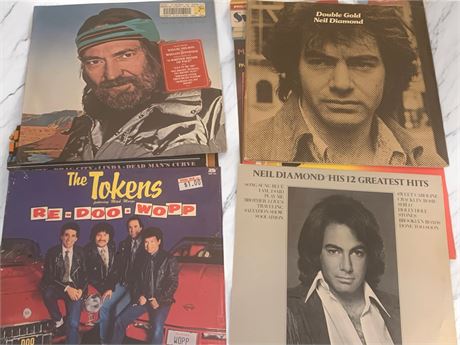 Vintage Vinyl Record Albums - John Denver, The Beach Boys, Glenn Miller