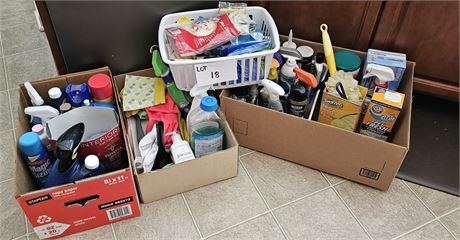 Cleanout- Cleaners, Chemicals, & More