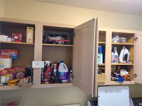 2 Cupboard Cleanout: Cleaners/Chemicals/Walkie Talkies/Iron/Small Tools & More