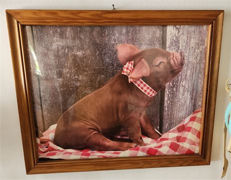 Pig Decor Photo