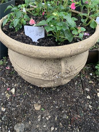 15" Round Plastic Flower Pot Filled With Assorted Potted Annuals