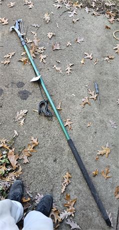 Professional Tree Limb Cutter