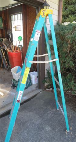 Davidson 6' Step Ladder