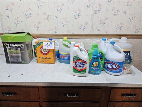 Mixed Laundry Cleanout:Bleach/Soap/Shout & More