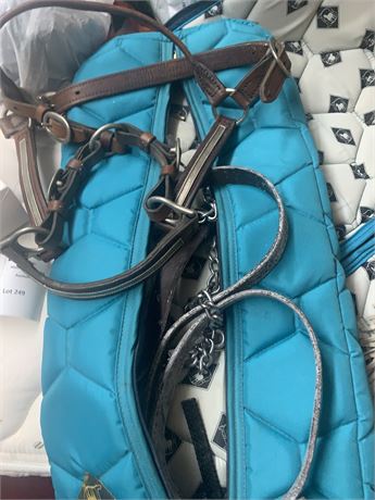 Horse Bridle With Lead In Carrying Case