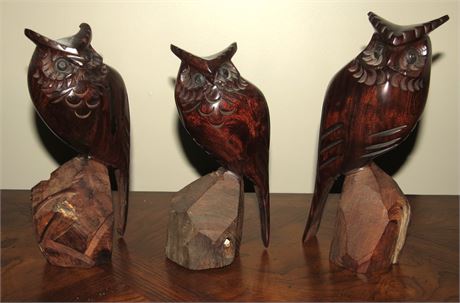 3 Wood Owls