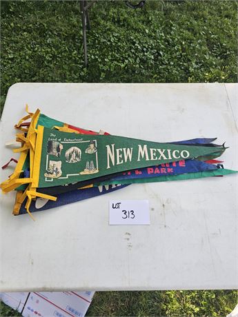 Vintage Pennants- Sunken Gardens, Cleveland Indians, Route 66, Chicago White Soc