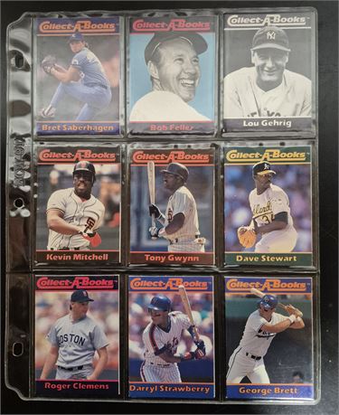 Collect-A-Books Sleeve