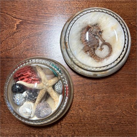 Vintage Nautical Seahorse Shells Glass Paperweights