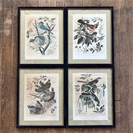 Set of 4 - Arthur Singer Art Lithographs, Botanicals & Birds