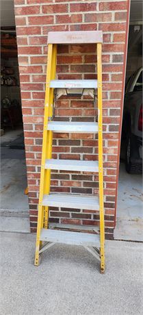 Baur Ladder ~6 ft