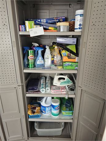 Cabinet Cleanout : Laundry / Cleaners / Chemicals & More