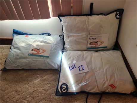 Mixed Standard Size Pillow Lot
