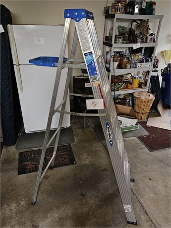 Werner 250lbs 6ft Ladder