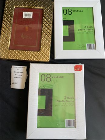 Picture/Photo Frame Lot