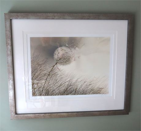 "Gone To Seed" Framed Print