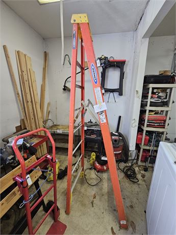 Werner 8 Foot Ladder