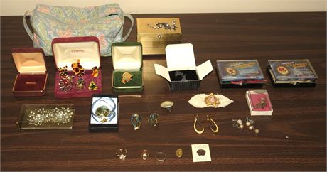 Pins, Earrings, Rings, Etc