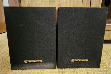 Small Pioneer Speakers