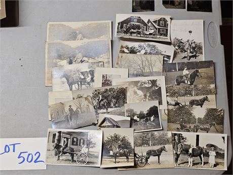 Antique Photos: Horses / Donkeys / Buggies & More