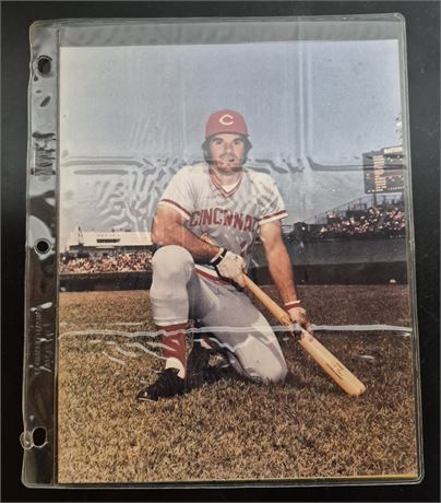 Pete Rose 8x10