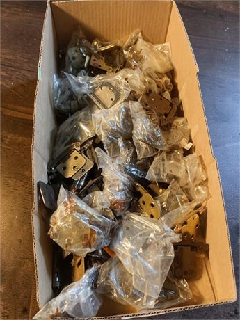 Assorted Metal Door & Cabinet Hinge Hardware Lot