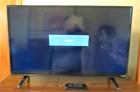 Vizio 32" TV